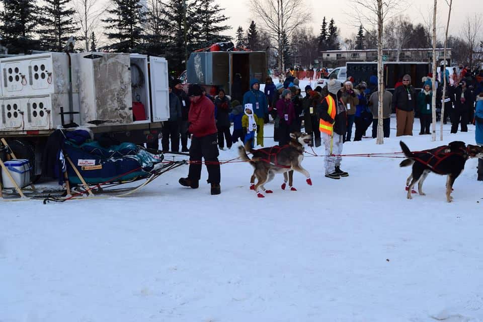 Husky sledging -how to emigrate to Alaska