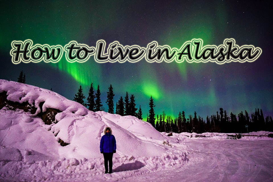 How to emigrate to Alaska northern lights
