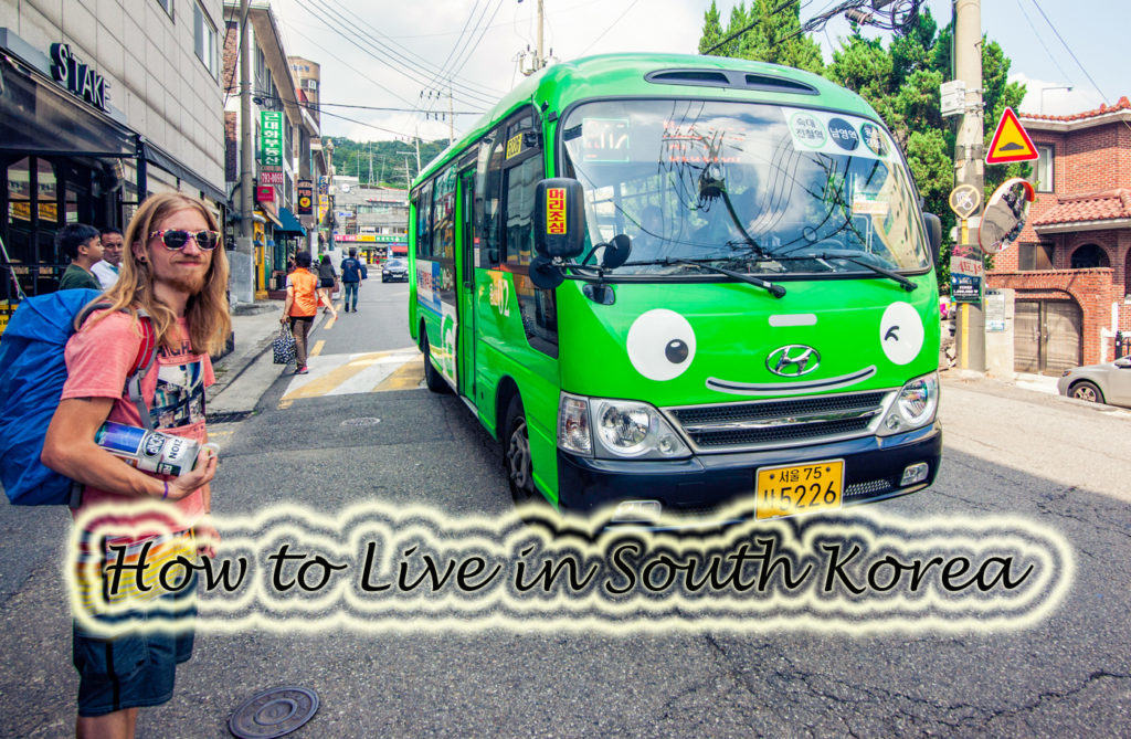 how to live south korea, teach abroad, teach English ESL tips tricks livein10countries