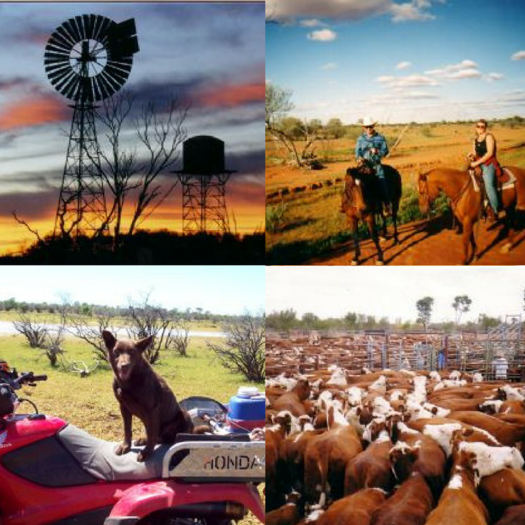 Broken Hill NSW Farmwork 2nd year visa jobs Australia