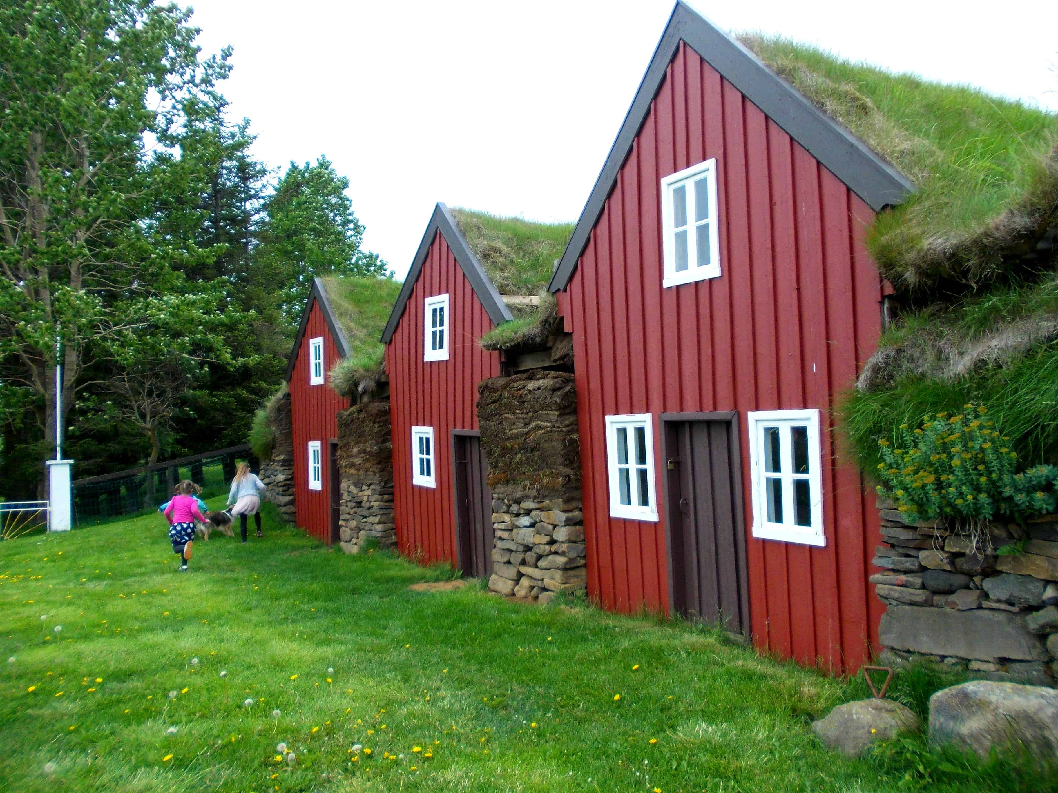 East coast of Iceland's colourful turf houses